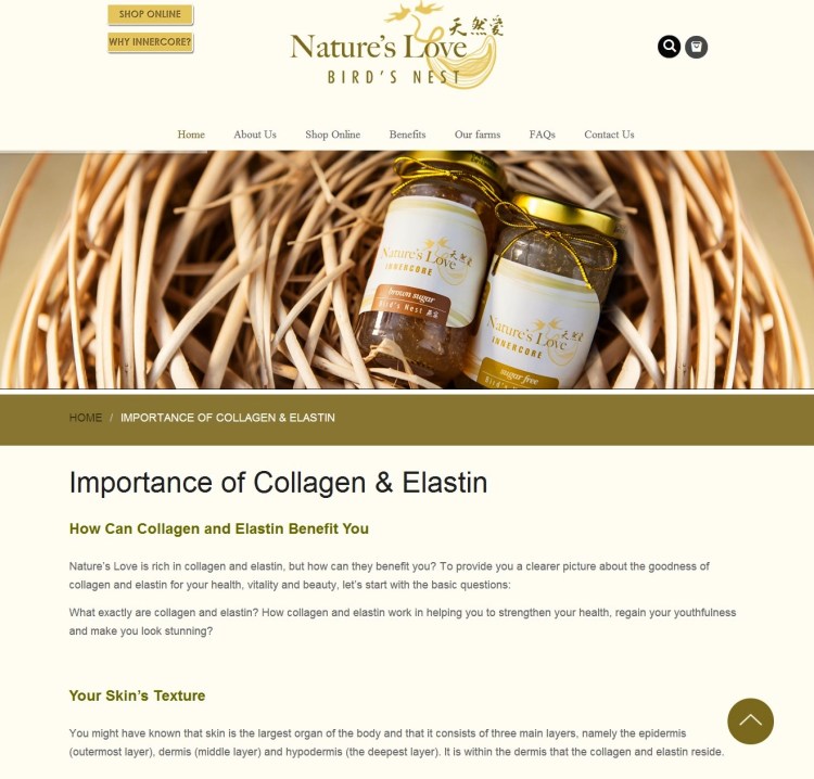 Nature's Love Bird Nest